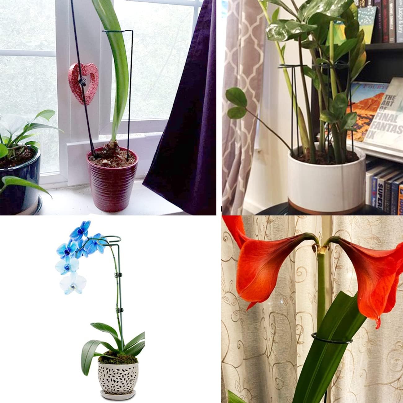 10 pcs 8 inch Metal Single Stem Flower Plant Support Stakes and Rings for Amaryllis Orchid Lily Sunflower Rose Narcissus