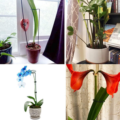 10 pcs 8 inch Metal Single Stem Flower Plant Support Stakes and Rings for Amaryllis Orchid Lily Sunflower Rose Narcissus