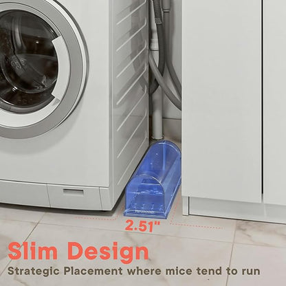 Humane Mouse Trap Pack of 2, Live Mouse Traps Catch and Release for Indoors & Outdoors, Pet & Child Safe, 6.69" Reusable Plastic Mouse Cage with Spring Door, Cleaning Brush Included, Blue