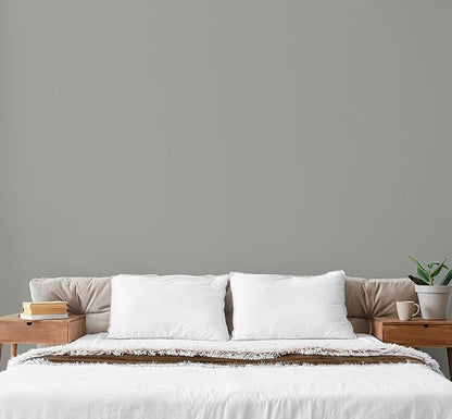 EVOLVE Paint & Primer: Environment-friendly, Low Sheen with One-coat Coverage for Interior & Exterior surfaces (Graphite Gray, 1-Gallon)