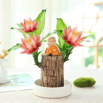 Brazilian Lucky Wood Kit with Monk, Grow Your Own Luck,Easy to Maintain Mini Brazil Woods for Indoor/Outdoor, Bedroom, Kitchen, Office Desk, Garden and Other Decorations (C)
