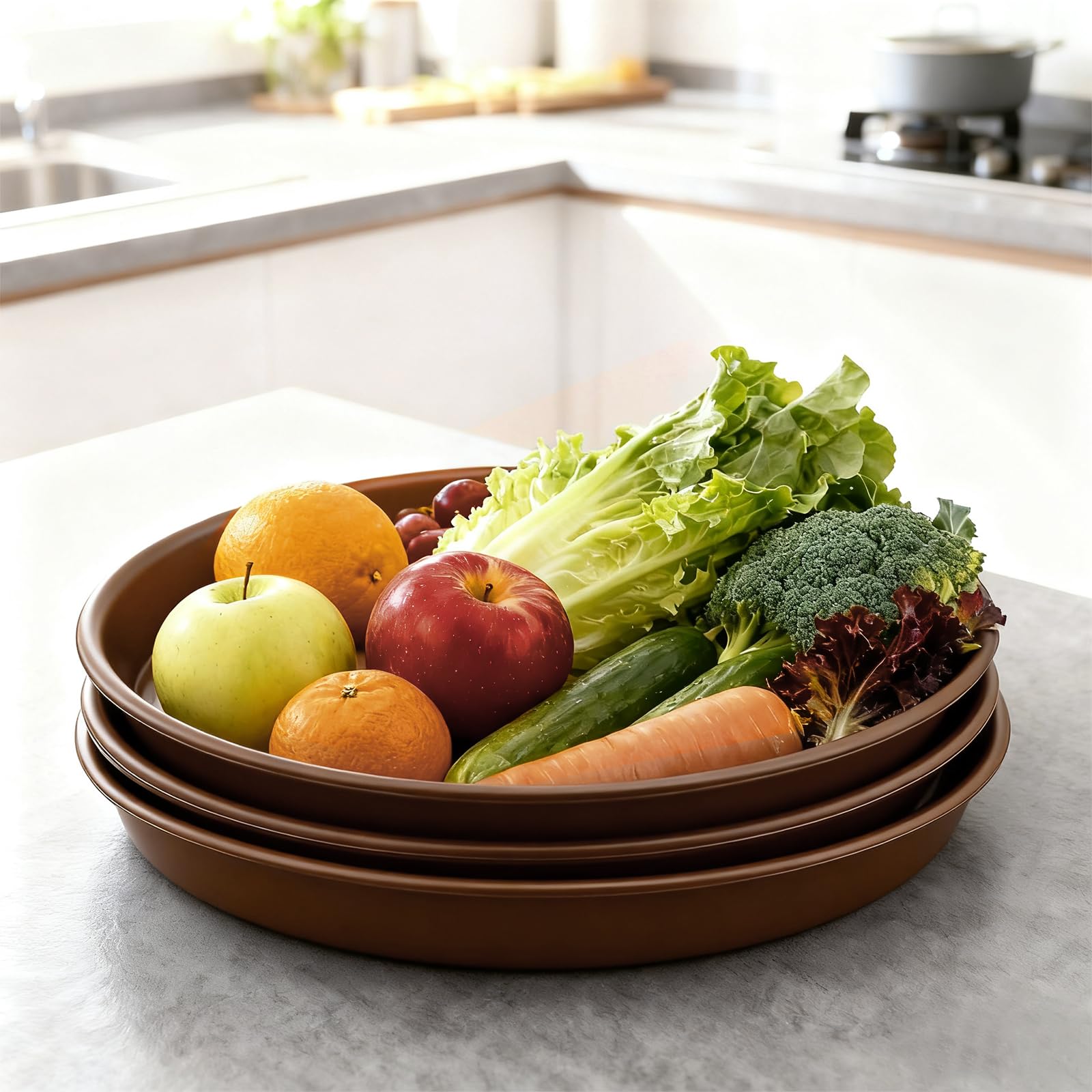 Plant Saucer 10 inch, Heavy Large Planter Durable Thicker Plastic Plant Trays for Indoors and