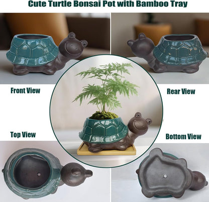 MUZHI Ceramic Bonsai Pot with Bamboo Tray SmilingTurtle Shape, Cute Animal Succulent Cactus Planter with Drainage Hole, Art Desk Decorations and Gift