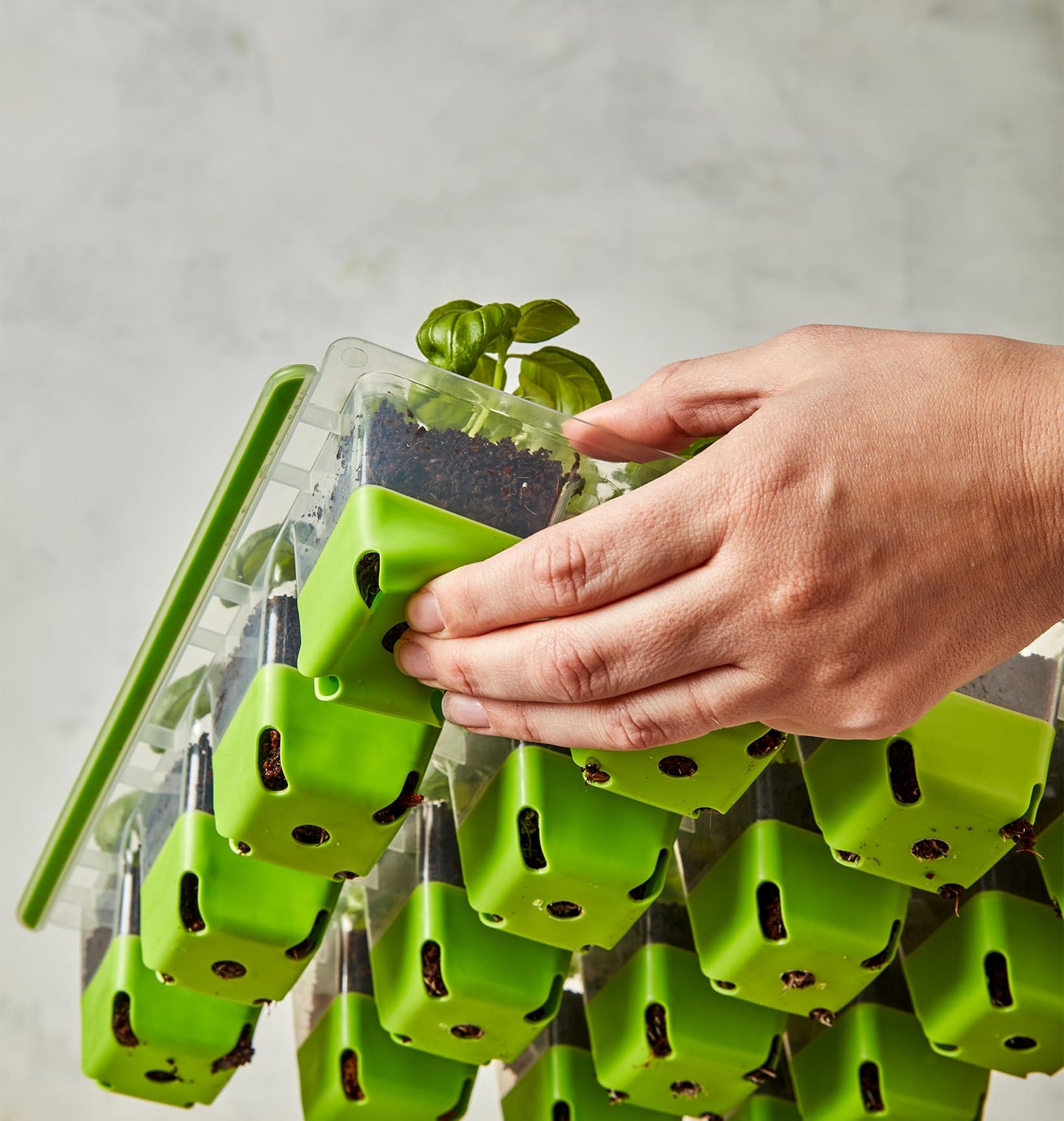 Burpee SuperSeed Starting Tray | 16 XL Cell | Reusable & Dishwasher Safe | for Vegetable, Flower &