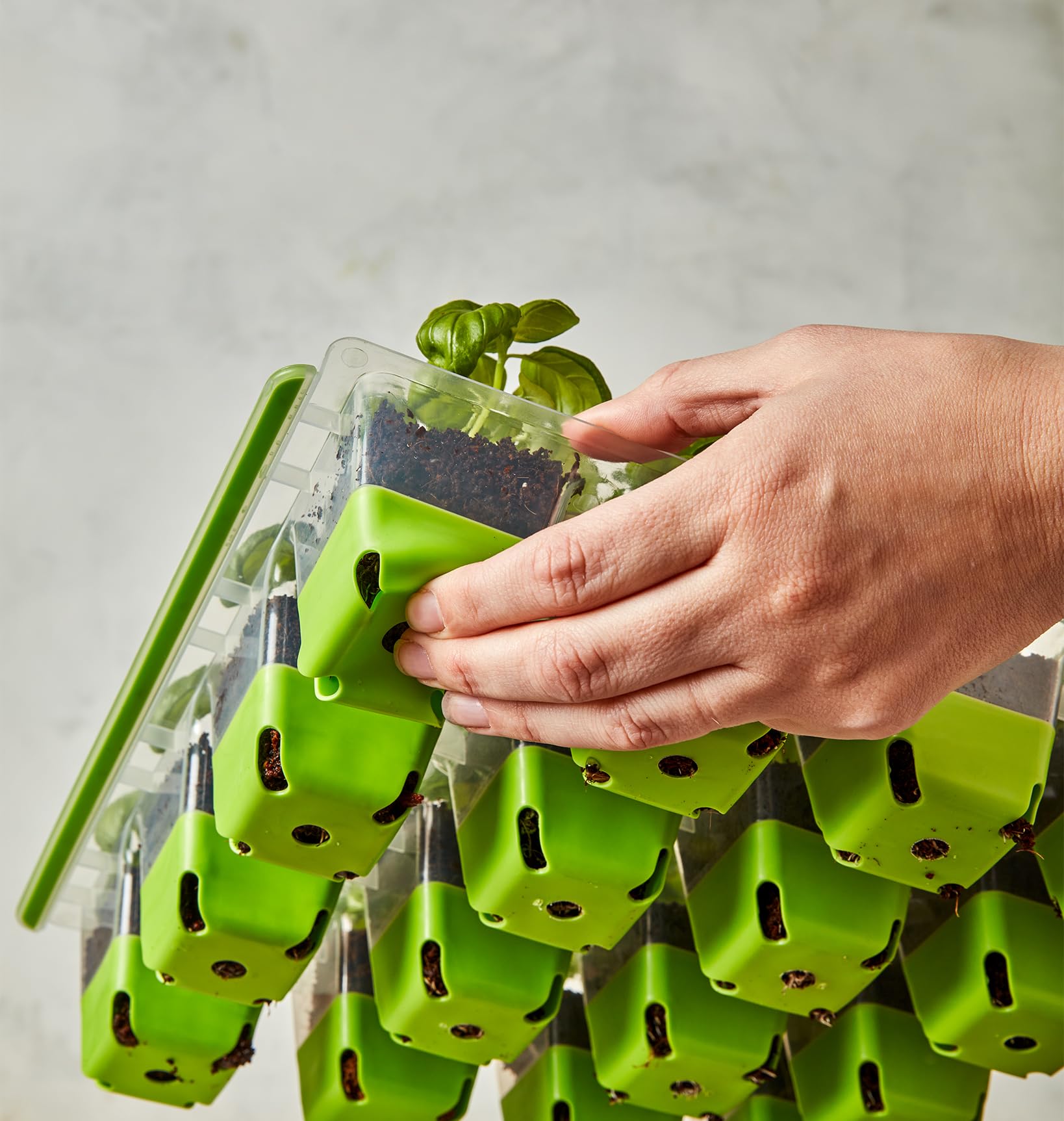 Burpee SuperSeed Starting Tray | 16 XL Cell | Reusable & Dishwasher Safe | for Vegetable, Flower &