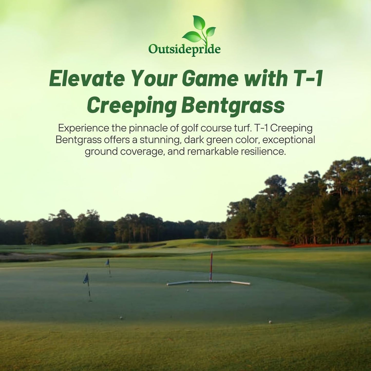 Outsidepride T-1 Creeping Bentgrass Seed - 25 lbs Fine-Bladed, Premium Quality Turf, Grass Seed for Smooth Surface, & High-Traffic Areas, Ideal Grass for Golf Courses Putting Greens, & Fairways