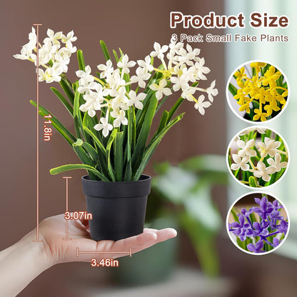 3 Pack Fake Small Plant in Pot Artificial Potted Flowers for Home Decor Fake Flower Plant Greenery Mini Faux Plant for Indoor Bedroom Living Room Office Shelf Bathroom Farmhouse Decor (Type 1)