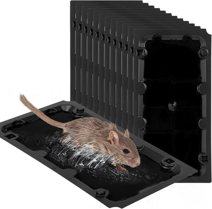 12 Pack Sticky Mouse Trap Rat Traps Indoor, Peanut Taste Pheromone Mouse Traps Indoor for Home, Glue Sticky Traps for Mice and Rats, Snake(Large Size)