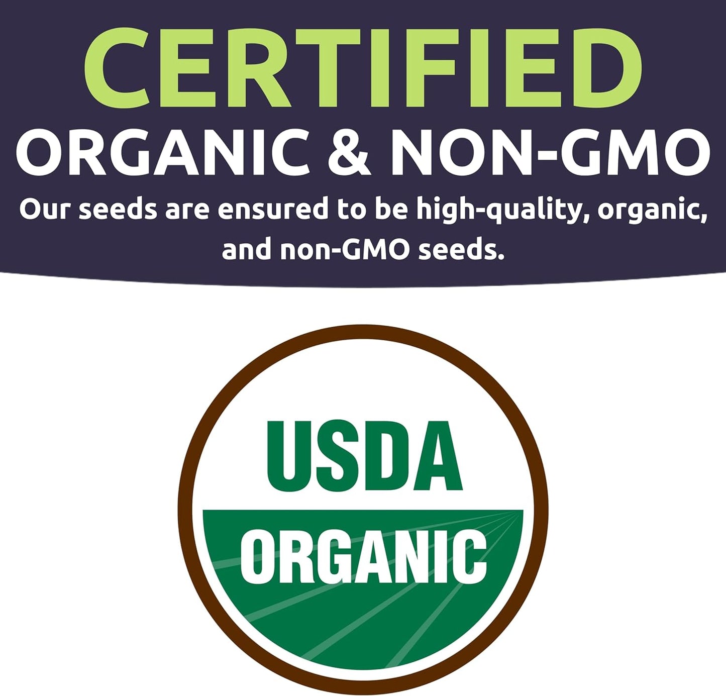 Organic Container Garden Seeds Variety Pack - 10 Individual Packs - 2025 Season - Ruquette arugula, Genovese Basil and More! for Indoor & Outdoor Planting (Non-GMO, Certified Organic)