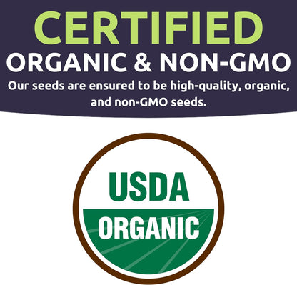 Organic Container Garden Seeds Variety Pack - 10 Individual Packs - 2025 Season - Ruquette arugula, Genovese Basil and More! for Indoor & Outdoor Planting (Non-GMO, Certified Organic)