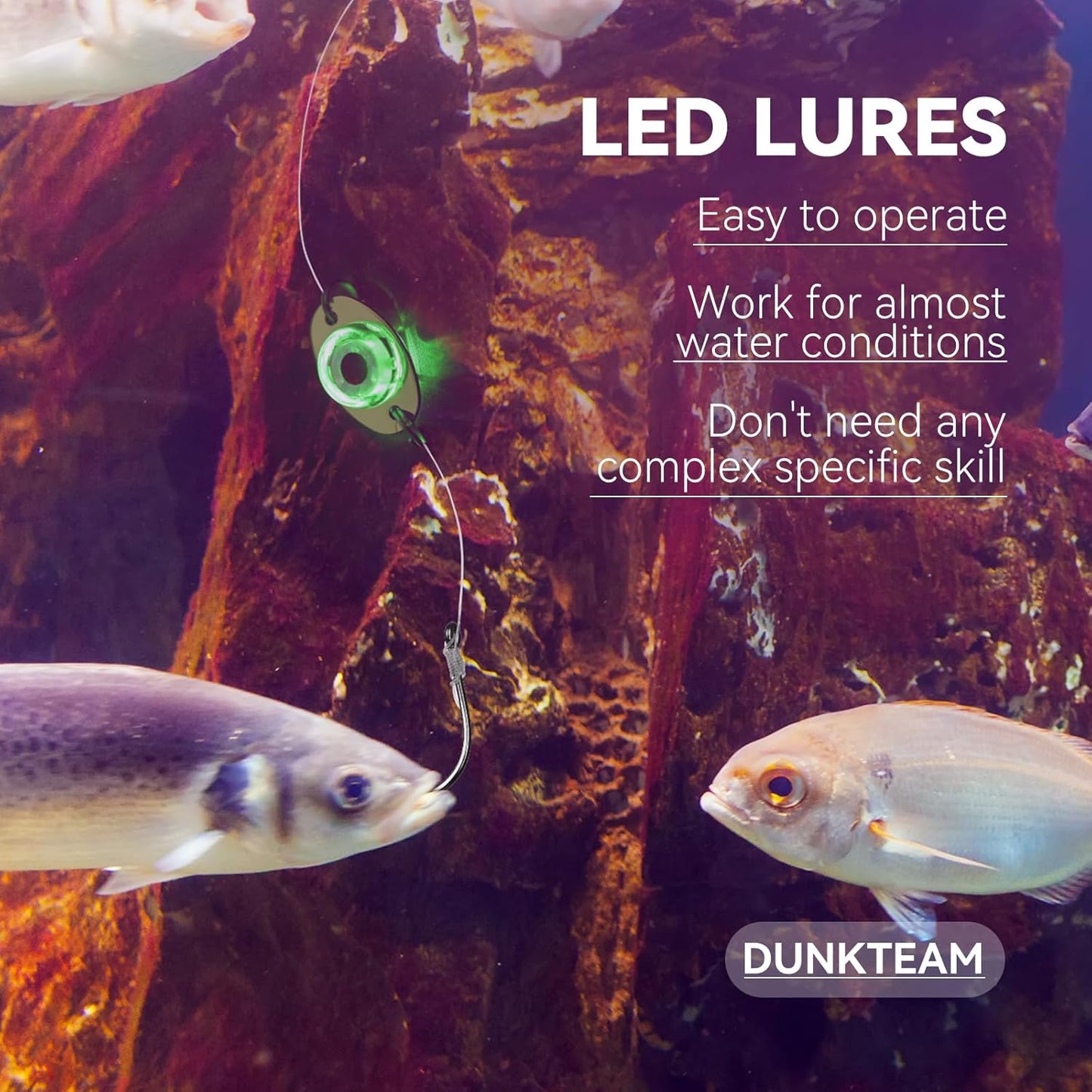 LED Underwater Fishing Lures，LED Lighted Bait Flasher，Deep Drop Fishing Lures，Fish Eye Attractive Light Bait Lure Lamp 5PCS