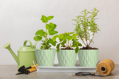4 Inch Plant Pots, 6 Pack Indoor Flower Pots, Planters with Drainage Holes and Trays for Orchids, Violets, Succulents, Herbs, and Other Plants,Green