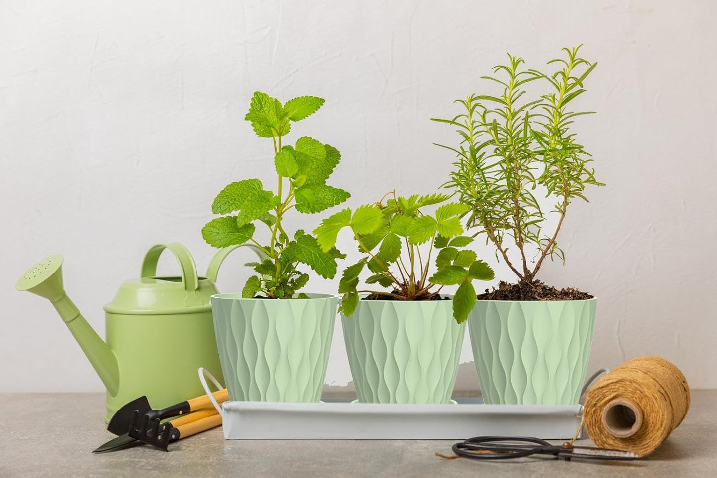 6 Inch Plant Pots, 6 Pack Indoor Flower Pots, Planters with Drainage Holes and Trays for Orchids, Violets, Succulents, Herbs, and Other Plants,Green
