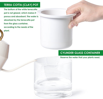 Phoenix Vine 4 Inch Self Watering Planter Pot, Design White Terracotta Pots for Plants, Indoor Cylinder Terra Cotta Pots with Glass Vase, Set of 2, 51-B-E-2