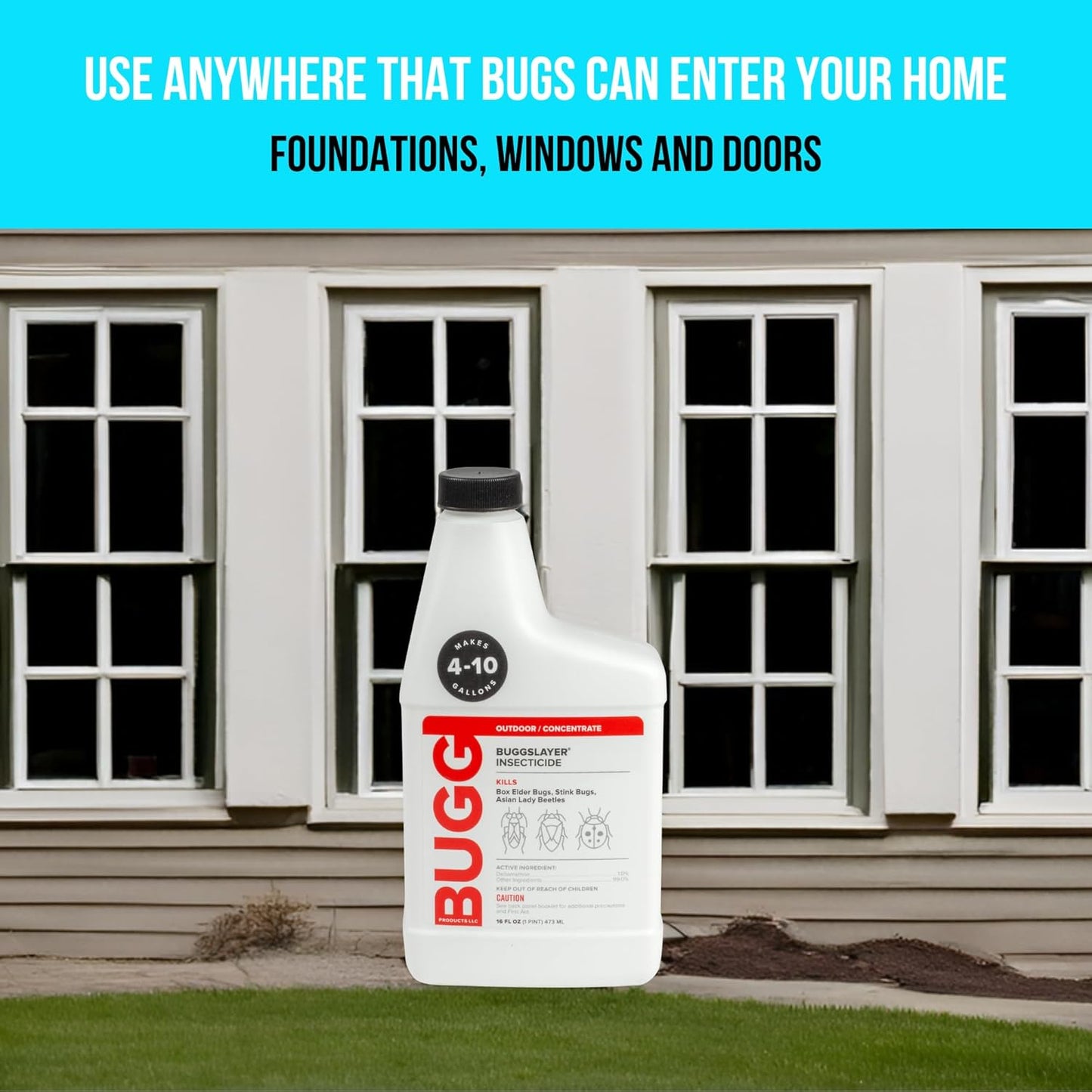 BUGGSLAYER Insecticide - Concentrate - Outdoor Box Elder Bugs, Stink Bugs, Asian Lady Beetles - 16 oz Bottle