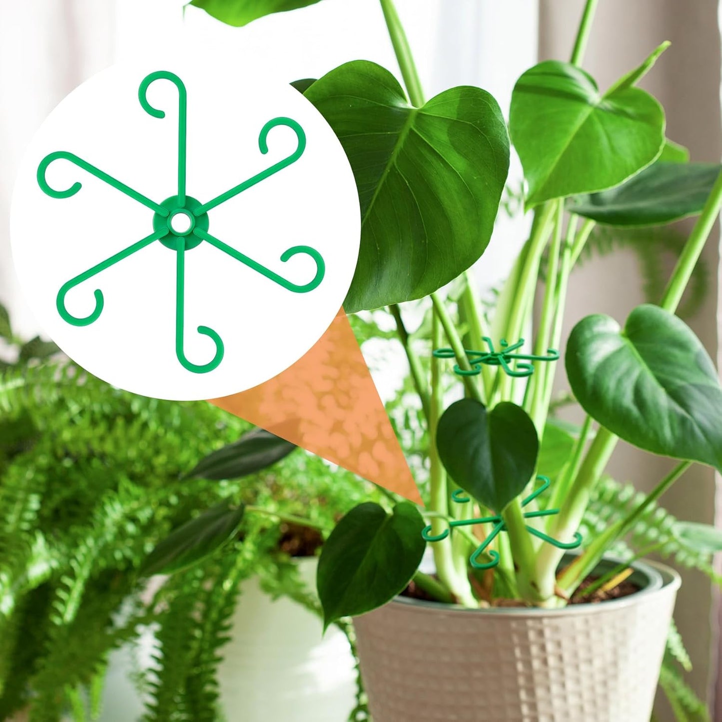 3PCS Plant Stem Support, 3 Sizes Climbing Houseplant Stem Holders, Plastic Reusable Flower Trellis Stem Hook Plant Care Growth Accessories for Flower Plants Indoor Outdoor- Green