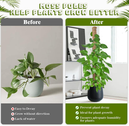 48 Inch Moss Pole, 2Pack Bendable Moss Pole for Plants Monstera, Tall Moss Poles for Climbing Plants Indoor, Large Pole Support, Garden Trellis Plant Stick Stakes for Potted Plants, Pothos