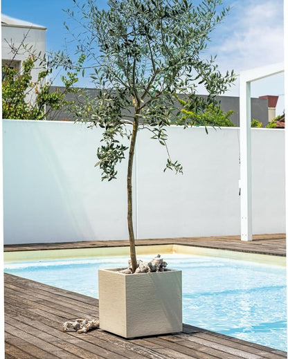 Deroma Millennium 15” Cube Planter| Light & Durable Plastic | Indoor or Outdoor Square Pot for Patio | Includes Water Reserve & Drain Plug | Trendy Planter for Plants, Flowers, Garden | White