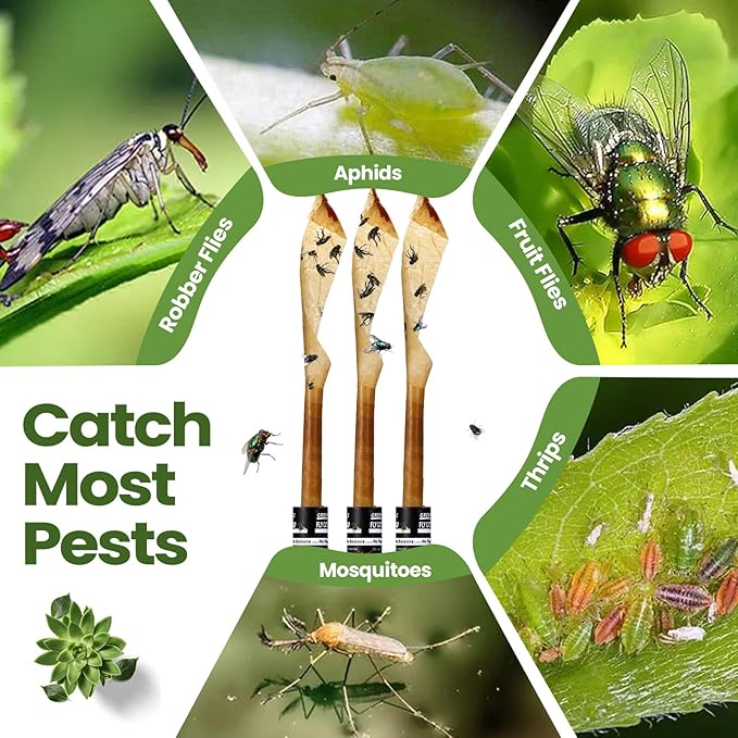Qualirey 160 Pack Fly Strips Sticky Fly Trap Indoor Outdoor Hanging Ribbon Tape Paper Flying Insect Trap Gnat Killer Traps Catcher for Fruit Flies, Bug, Insect, Pest (Black)