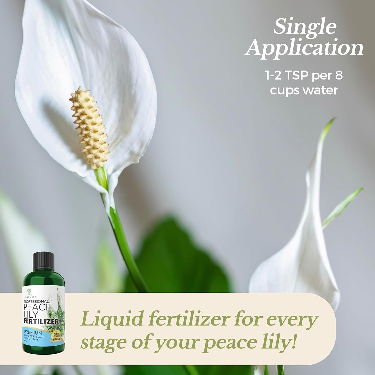 Professional Liquid Peace Lily Plant Fertilizer | 3-1-2 Concentrate for Plants and Flowers | Multi-Purpose Blend & Gardening Supplies | 8 oz Bottle