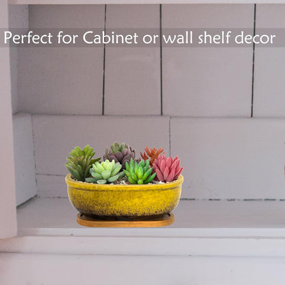 Succulent Pots, 7.9 Inch Long Rectangular Succulent Planters with Drainage Tray, Shallow Planters for Indoor Plants Ceramic Cactus Pots Glazed Bonsai Flower Plant Container for Home Windowsill Decor