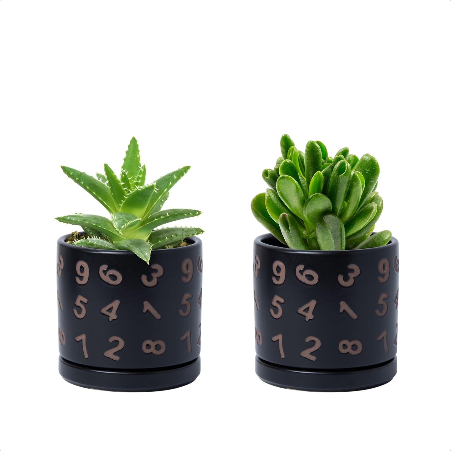 D'vine Dev Set of 2 Ceramic Planter Pots with Drainage Hole and Saucer, 4.5 Inch Plant Pots for Plants Indoor Houseplants, Black, 99-Z-B-2-V
