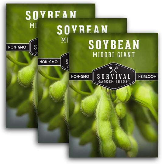 Midori Giant Soybean Seeds for Planting - Grow Protein-Rich Edamame Pods in Your Home Vegetable Garden - Non-GMO Heirloom Soy Bean - Survival Garden Seeds (3 Packs)