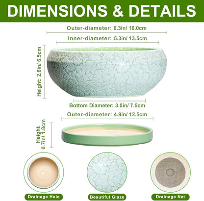 Succulent Pot 6 Inch - Ceramic Bonsai Pots Indoor Outdoor, Shallow Plant Pots with Drainage Hole and Saucer, Small Bonsai Planter, Round Bowl Planter, Desk Decor, Housewarming Gifts, Green