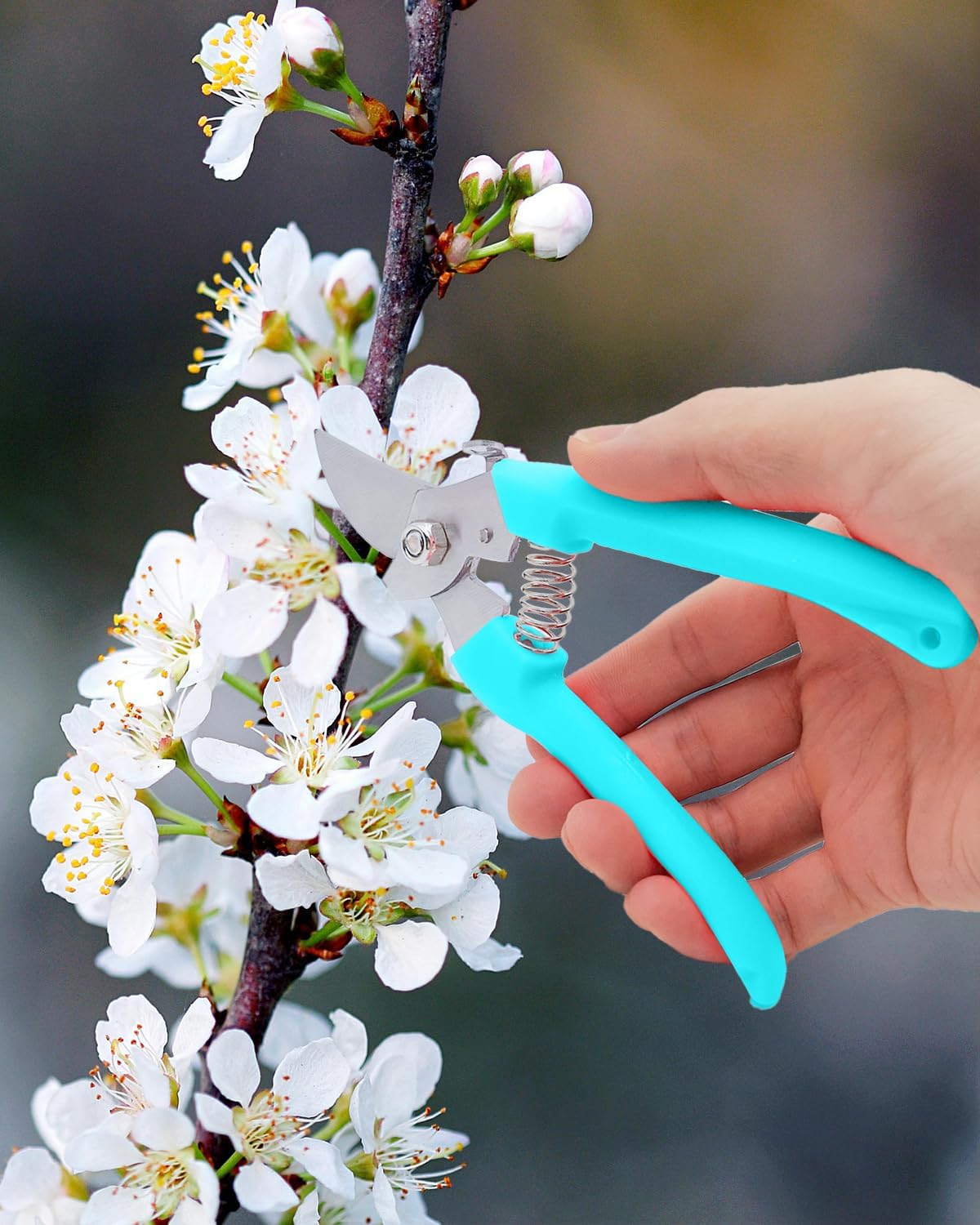 Pruning Shears for Gardening, 2 Pack Garden Scissors for Cutting Fresh Flowers, Floral Clippers for Plants, Fruits (Blue)