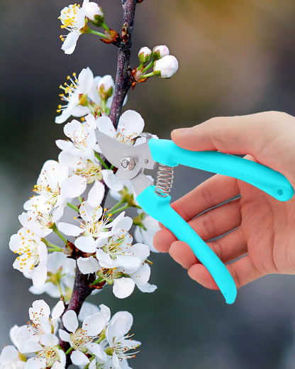 Pruning Shears for Gardening, 4 Pack Garden Scissors for Cutting Fresh Flowers, Floral Clippers for Plants, Fruits (Blue)