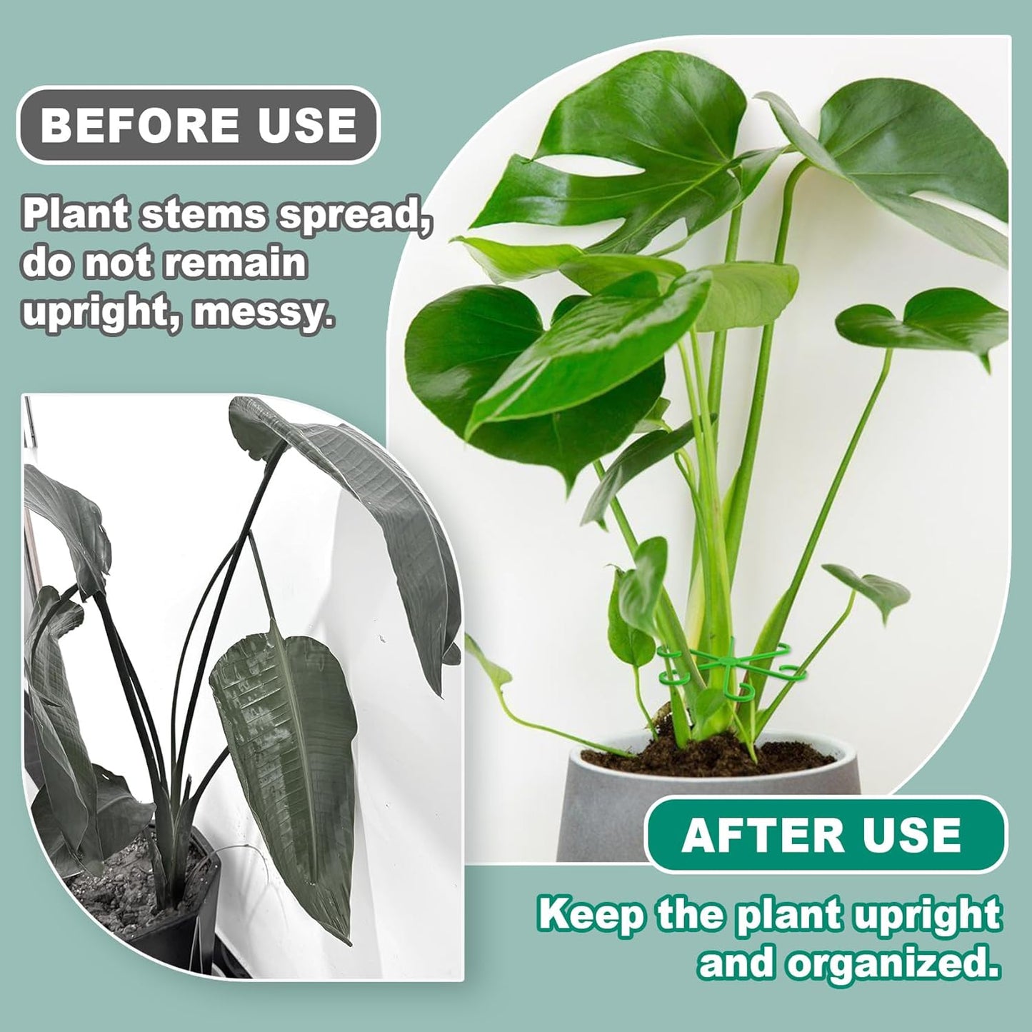 8PCS Plant Stem Support, 4 Sizes Climbing Houseplant Stem Holders, Plastic Reusable Flower Trellis Stem Hook Plant Care Growth Accessories for Flower Plants Indoor Outdoor