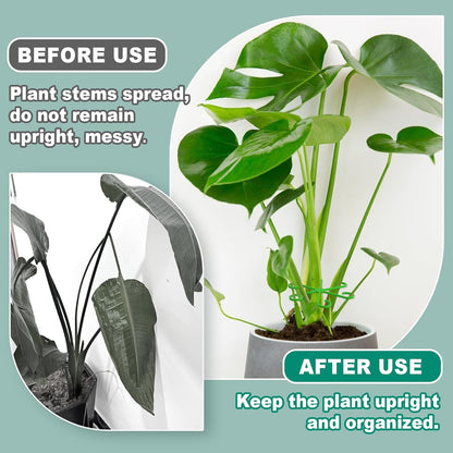 8PCS Plant Stem Support, 4 Sizes Climbing Houseplant Stem Holders, Plastic Reusable Flower Trellis Stem Hook Plant Care Growth Accessories for Flower Plants Indoor Outdoor