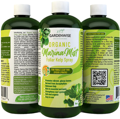 Organic Marina Mist Foliar Spray for Fiddle Leaf Fig and Other Ficus Trees | Micro Nutrients for Vital Health | Gentle Formula | Liquid Plant Food | Quick Results | Ready to Use (16 OZ)