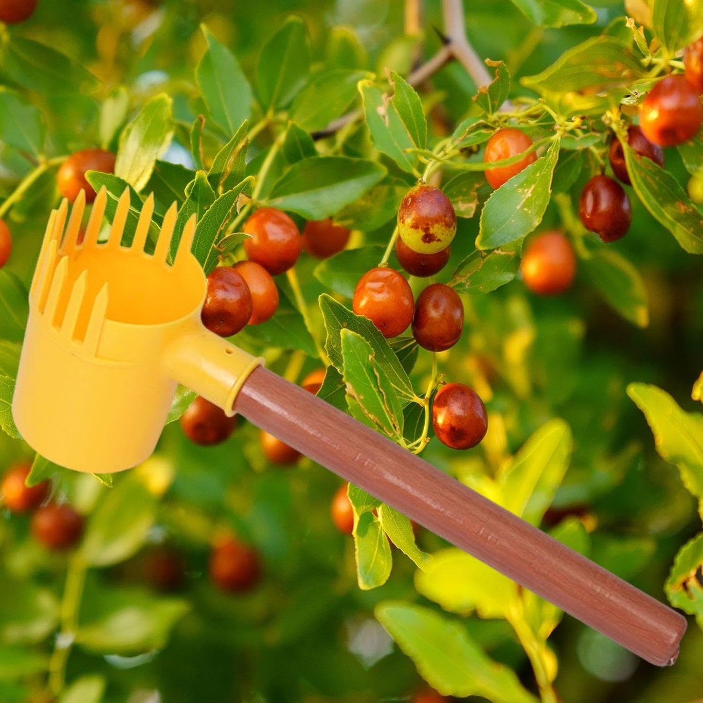 Fruit Picker Fruit Harvester Small Handheld Lightweight Garden Dates Picking Tool Harvesting Tool for Walnuts Lemon Blueberry