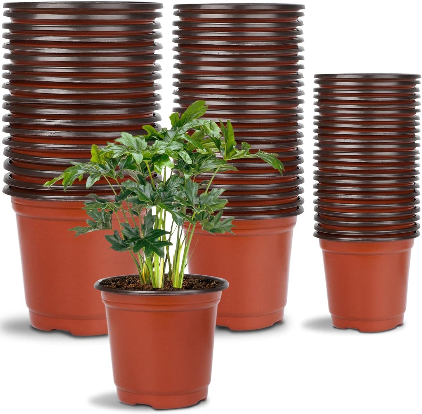 Augshy 120 Pcs Plastic Plants Nursery Pot, Indoor Outdoor Seed Starting Pots (4,5,6-Inch)