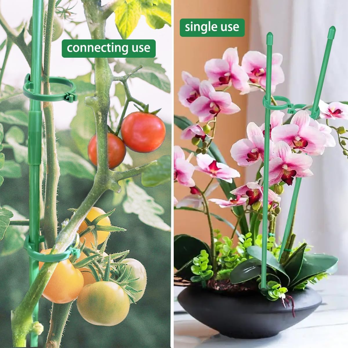 Belit 8 Pack Small Plant Support Plant Stakes, Adjustable Garden Single Stem Support Stake, Planter Support Ring for Orchid, Rose, Peony, Peppers and More, DIY 24 inch
