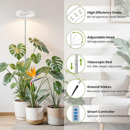 White Grow Light, Full Spectrum LED Plant Lights for Indoor Growing with 6/12/16H Timer, 3 Color Modes, 5 Brightness, 10"-65" Height Adjustable Plant Grow Lamp for Large Indoor Plants