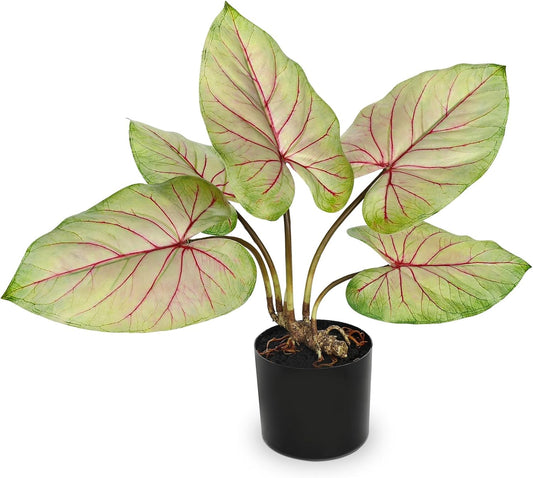 Briful 22'' Tall Fake Plants Artificial Caladium Plants in Black Pot Realistic Potted Faux Plant