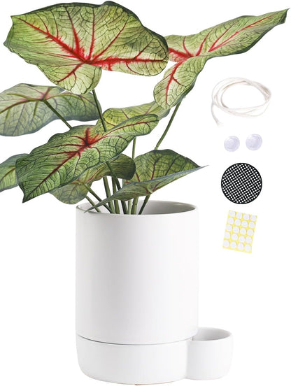 5.5 Inch Ceramic Self Watering Planters with Absorbent Cotton Rope, Cylinder Round Flower Pot for Succulent, Herbs, African Violets, White, 1 Pack