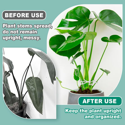 8PCS Plant Stem Support, 4 Sizes Climbing Houseplant Stem Holders, Plastic Reusable Flower Trellis Stem Hook Plant Care Growth Accessories for Flower Plants Indoor Outdoor - Clear