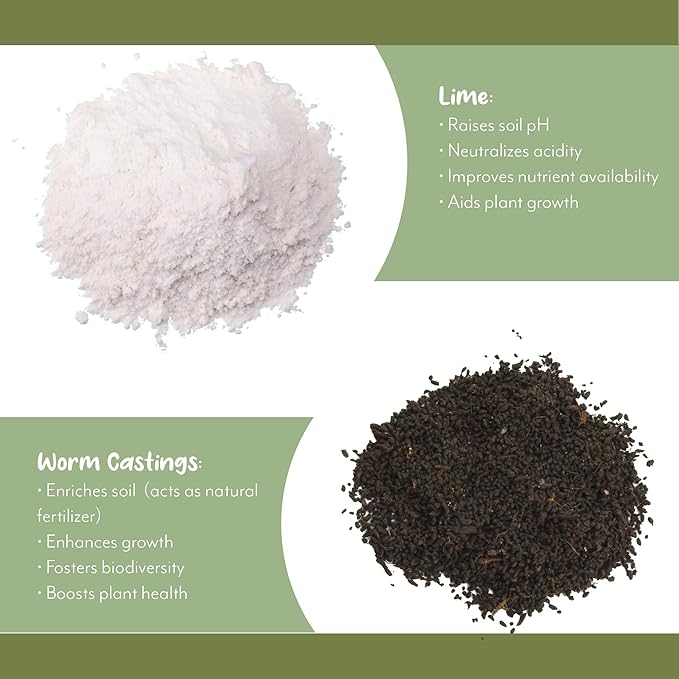 Tropical House Plant Potting Mix (2 Quarts); for All Types of Indoor House Plants