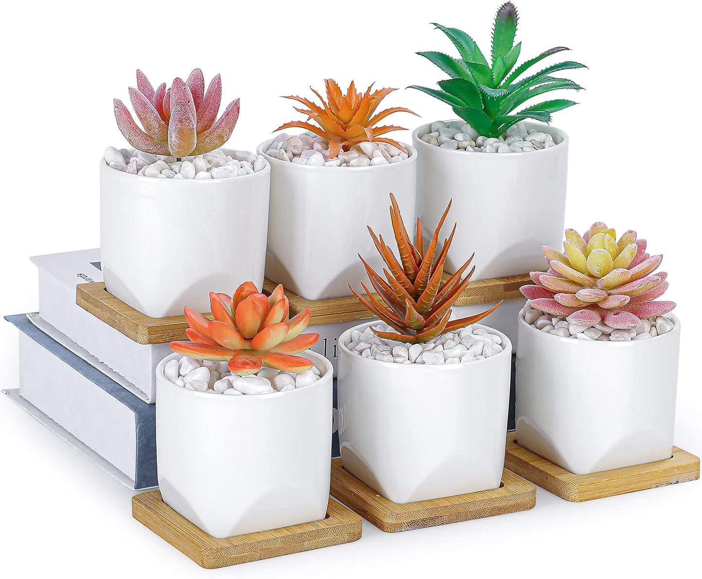 ARTKETTY Succulent Pots - 3 Inch Small Succulent Planter Pot with Drainage Trays Set of 6, Ceramic Planters for Indoor Plants Cactus Flower Plant for Home Office