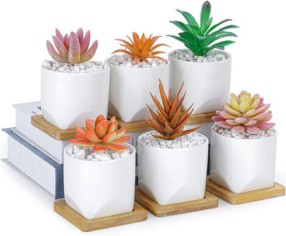 ARTKETTY Succulent Pots - 3 Inch Small Succulent Planter Pot with Drainage Trays Set of 6, Ceramic Planters for Indoor Plants Cactus Flower Plant for Home Office