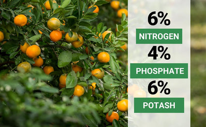 6-4-6 Avocado and Citrus Tree Professional Fertilizer Plant Food for Outdoor/Indoor Gardening; Quick-Release Nitrogen Fertilizer; Orange, Lime, Avocado and Lemon Tree Fertilizer (2 QUARTS)