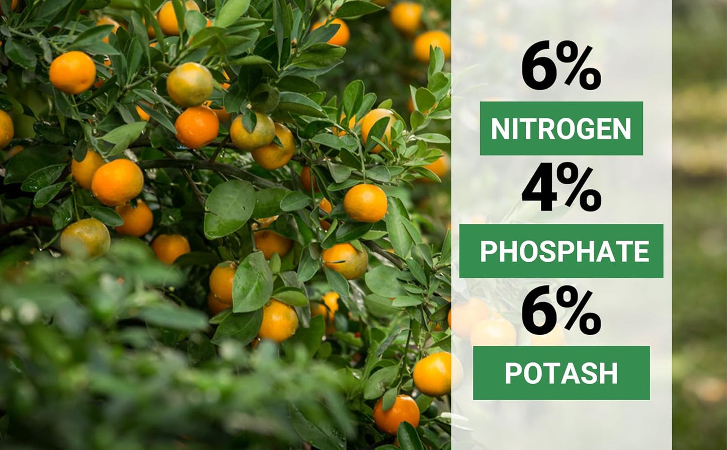 Avocado & Citrus Tree Fertilizer for Indoor & Outdoor Plants | Quick-Release Nitrogen - Citrus Fertilizer (3 Quarts)