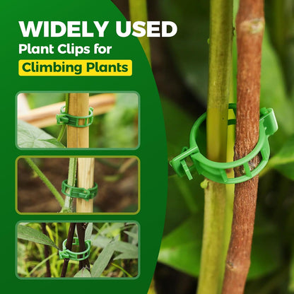 100 PCS Plant Support Clips, Reusable Garden Clips Secured Plastic Plant Clips for Climbing Plants, Tomato Clips for String Trellis Outdoor Indoor Plant Flowers Stem Vine Fixing Clips (Green)