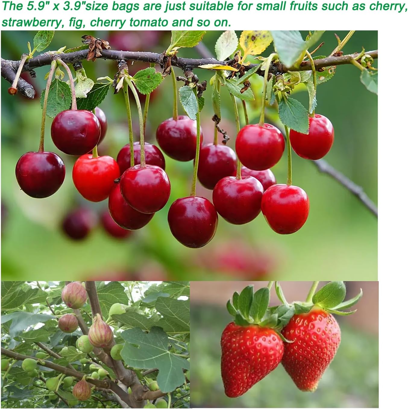 50PCS Fruit Protection Bags,7x5'' Green Netting Bags for Fruit Trees, Garden Fruit Cover Mesh Bags with Drawstring for Plant Fruit Flower and Vegetables