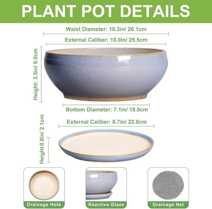 SQOWL Succulent Pots - 10 Inch Ceramic Bonsai Pots with Drainage Hole and Saucer, Round Shallow Planter for Indoor Outdoor Plants, Ceramic Planter Bowl, Home Decor, Gardening Gifts, Blue