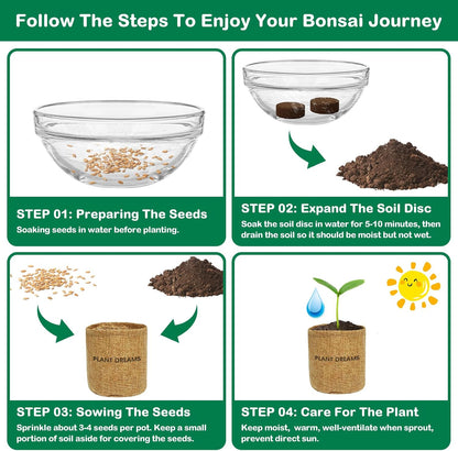 Bonsai Tree Kit, Complete Bonzai Tree Starter Kits with Tools, Unique DIY Gardening Gifts for Mom Women Men, Crafts Hobby Kits, Grow Bonsai Tree Live Indoor