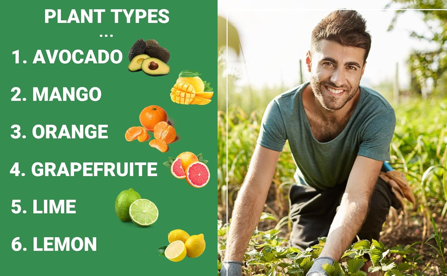 Avocado & Citrus Tree Fertilizer for Indoor & Outdoor Plants | Quick-Release Nitrogen - Citrus Fertilizer (3 Quarts)
